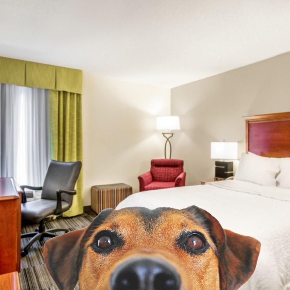 Hampton Inn Bowling Green Ky Dış mekan fotoğraf