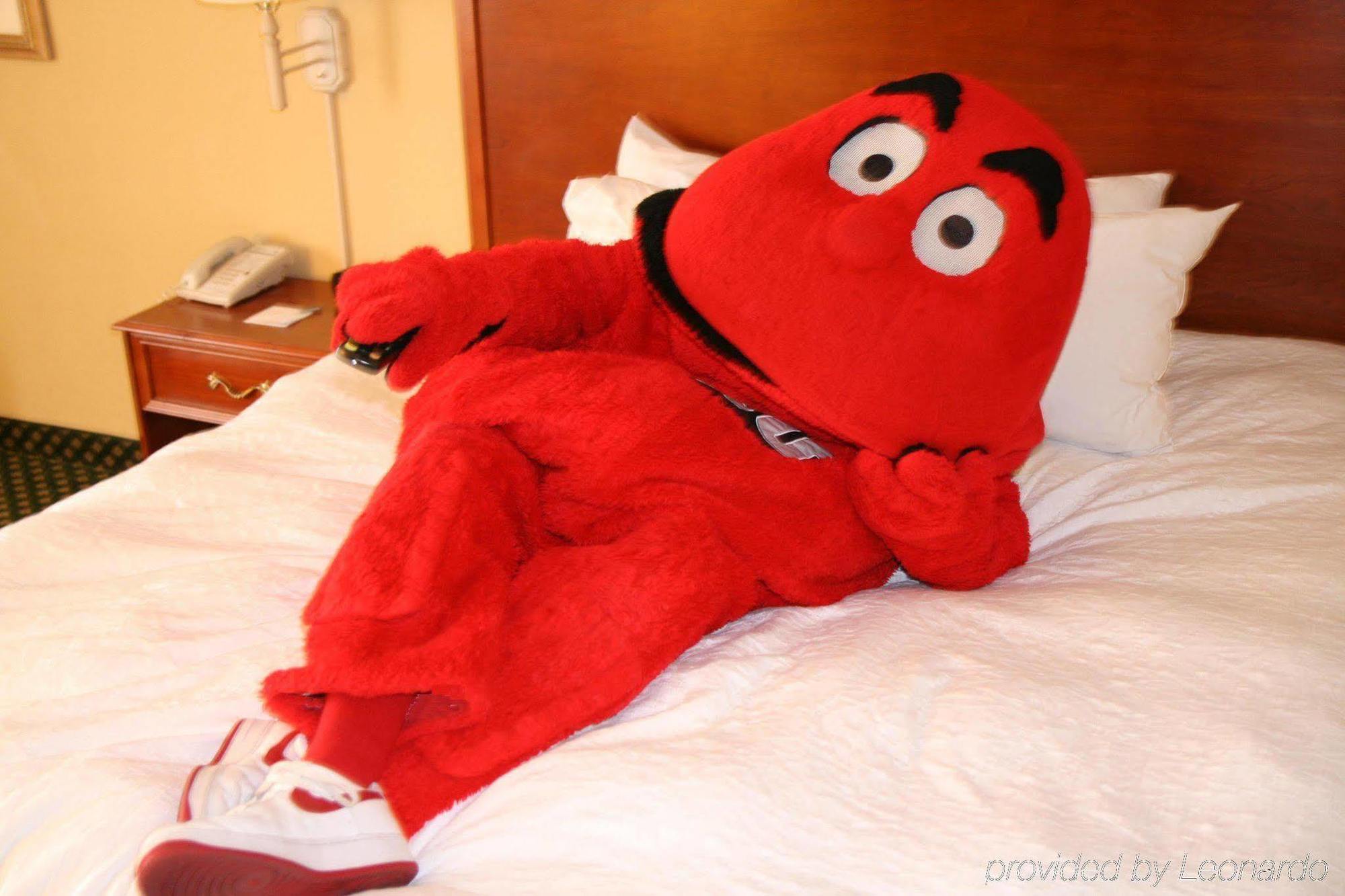 Hampton Inn Bowling Green Ky Oda fotoğraf